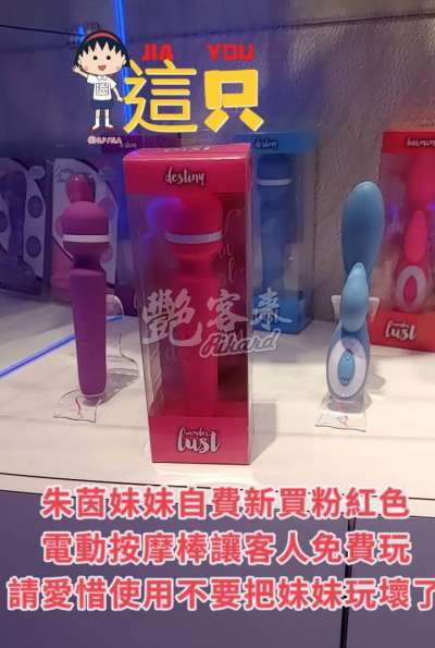 朱茵｜台南北區