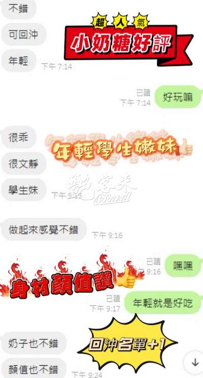 小奶糖｜新竹北區