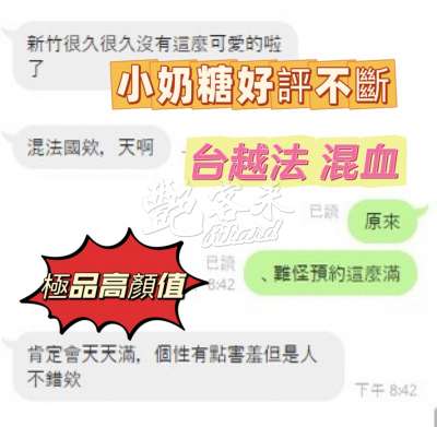 小奶糖｜新竹北區