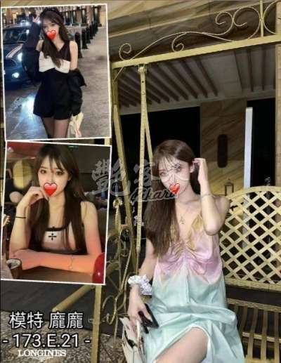 龐龐