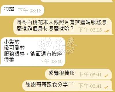白桃花｜新竹東區