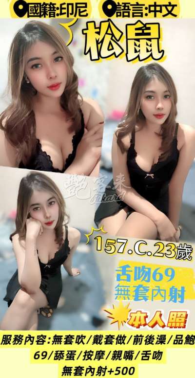 松鼠
