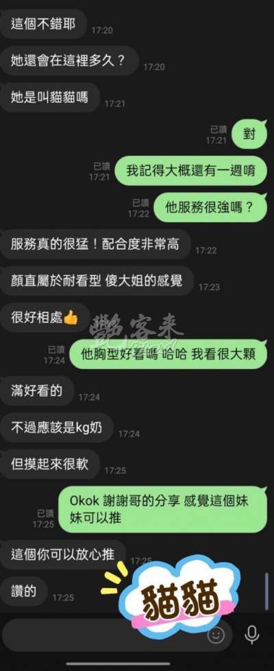 貓貓｜屏東市