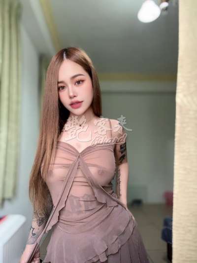 奶糖｜嘉義西區