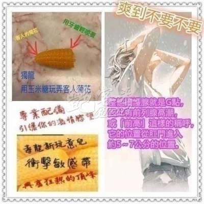 奶波波｜桃園觀音區