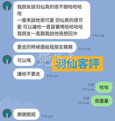 羽仙｜台東臺東市