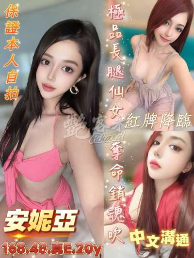 安妮亞｜台南中西區