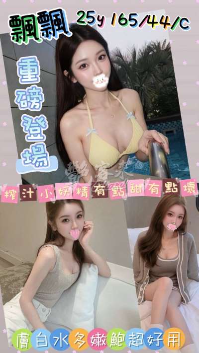 飄飄｜桃園全區