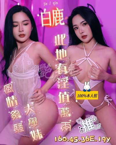 白鹿｜台南北區