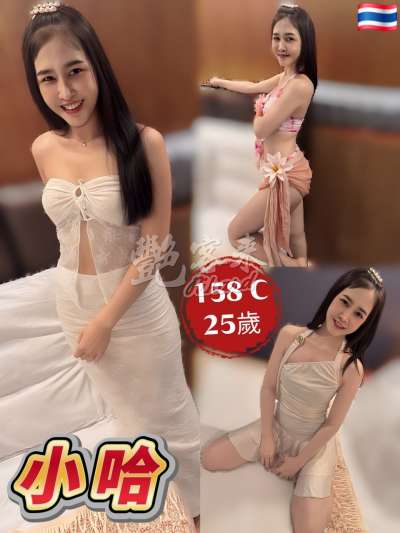 小哈｜新北板橋區