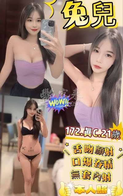 兔兒｜新北板橋區