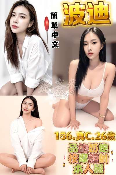 波迪｜新北板橋區