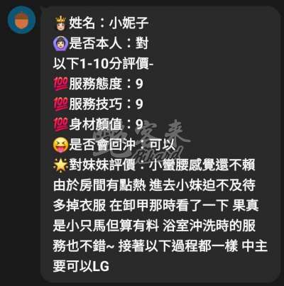 小妮子｜嘉義西區